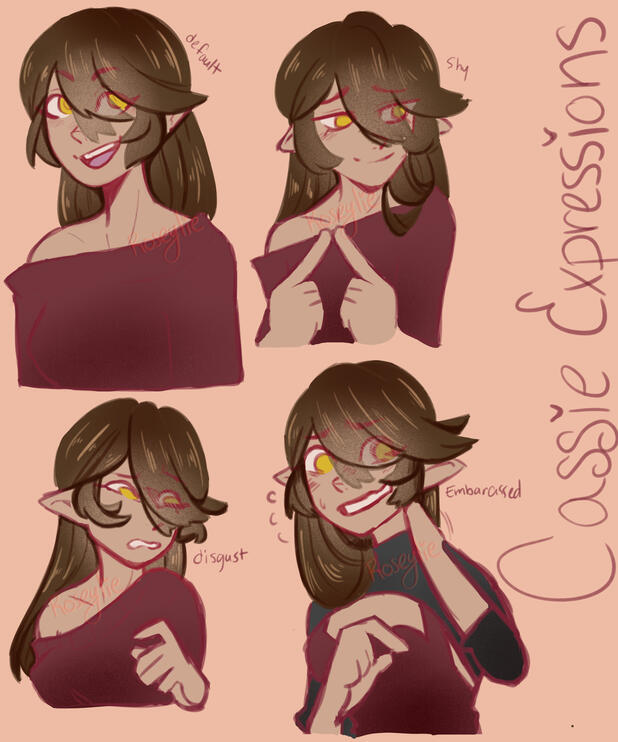 cassie new style doodles